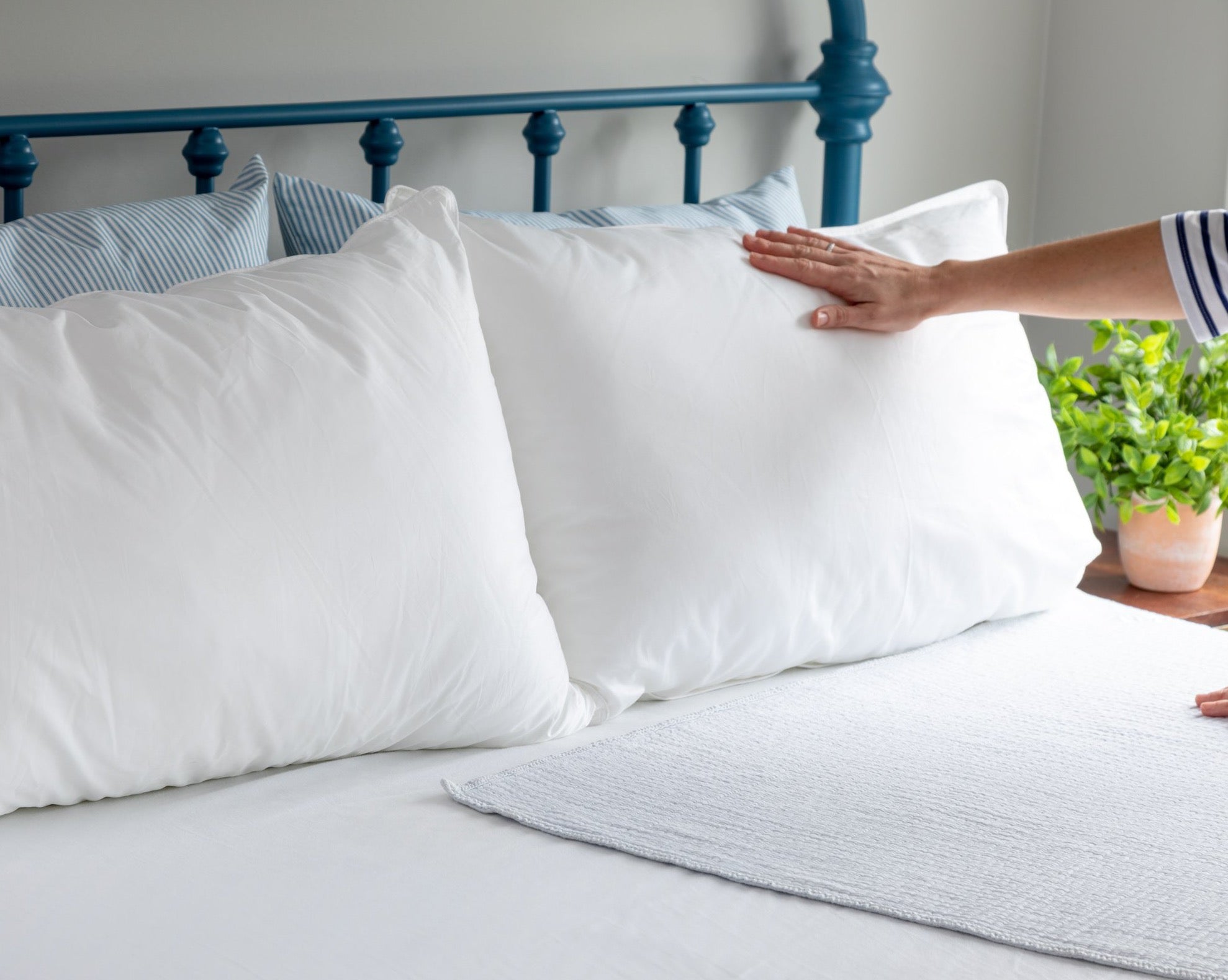Products – Snoozer Pillows